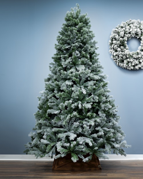 The 6ft Arbor Blue Pine Tree