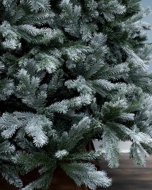 The 6ft Arbor Blue Pine Tree