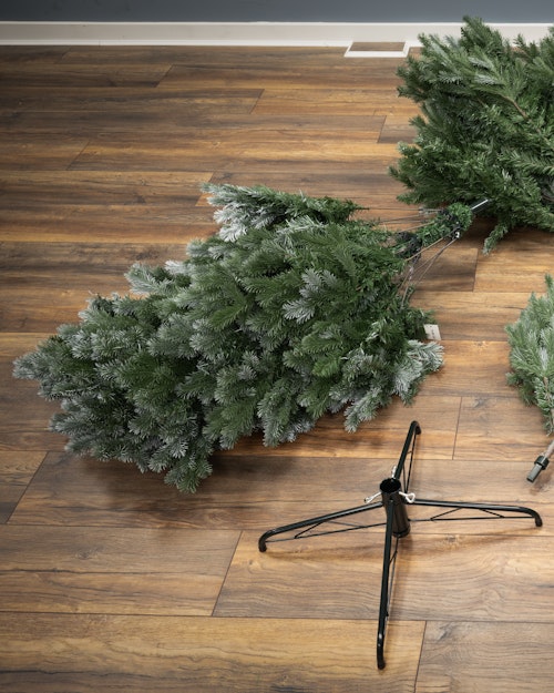 The 6ft Arbor Blue Pine Tree