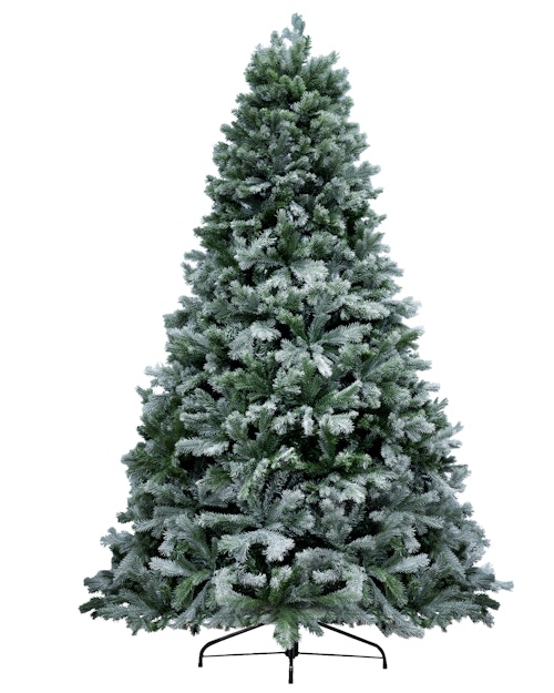 The 6ft Arbor Blue Pine Tree