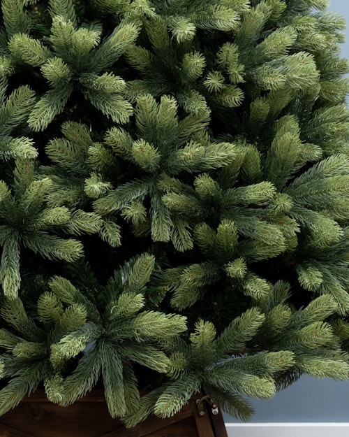 The 5ft Arbor Ultima Tree