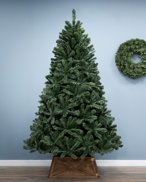 The 6ft Arbor Vitae Fir Tree