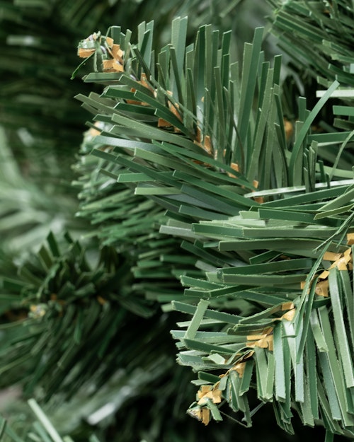 The 6ft Arbor Vitae Fir Tree