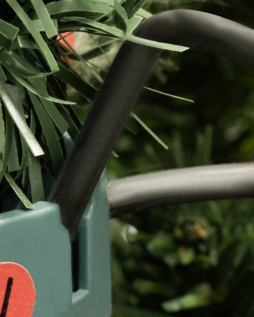 The 6ft Arbor Vitae Fir Tree