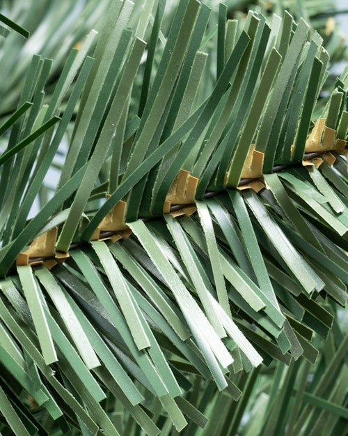 The 5ft Arbor Vitae Fir Tree