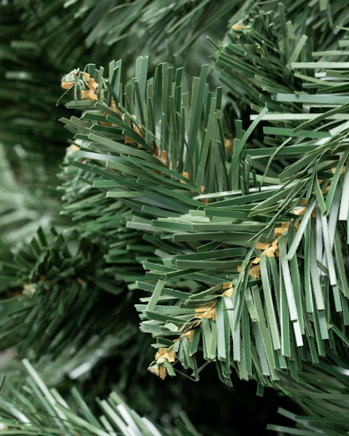 The 5ft Arbor Vitae Fir Half Tree