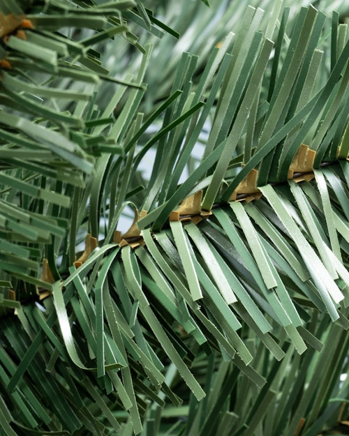 The 5ft Arbor Vitae Fir Half Tree