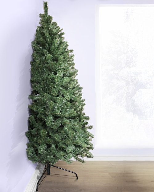 The 6ft Arbor Vitae Fir Half Tree