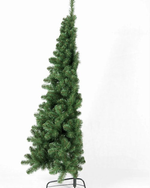 The 5ft Arbor Vitae Fir Half Tree