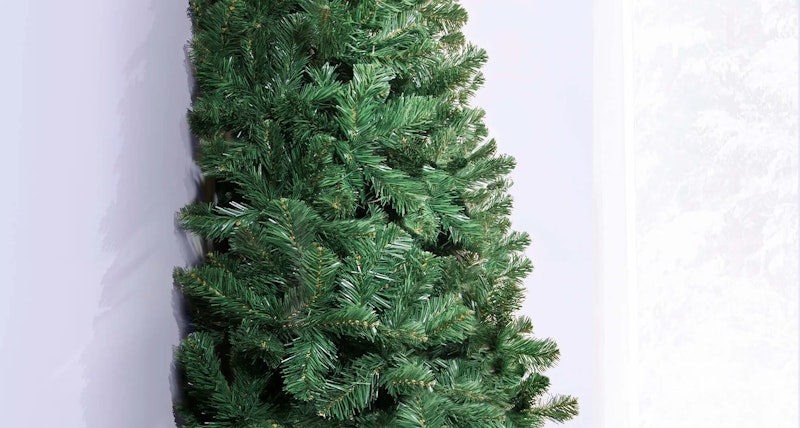 The 5ft Arbor Vitae Fir Half Tree
