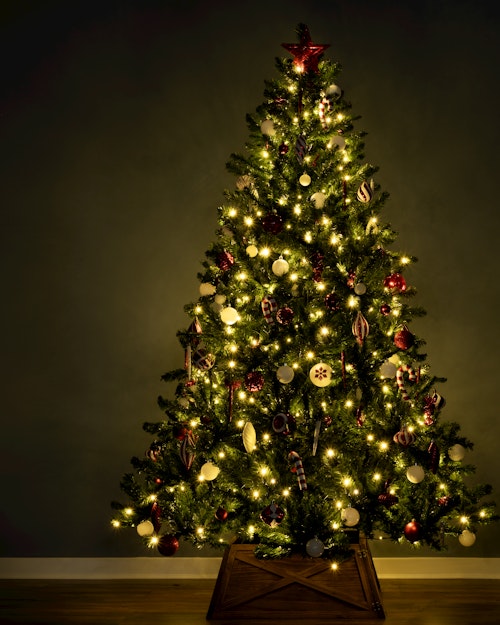 6ft Pre-lit Arbor Vitae Fir Tree