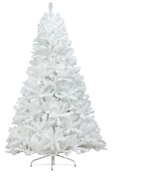 The 6ft Bianca Pine Tree