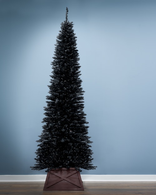 The 6ft Black Italian Pencilimo Tree