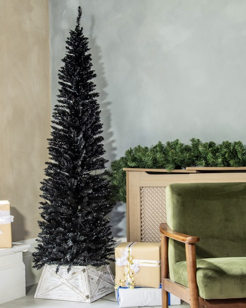 The 6ft Black Italian Pencilimo Tree