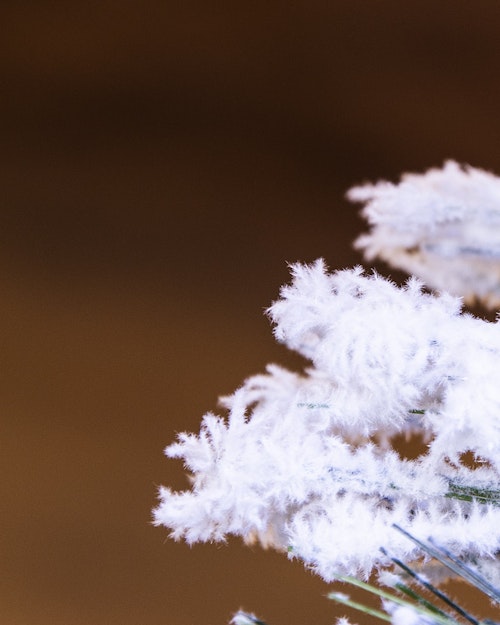 The 6ft Snowy LED Frosted Pine Fibre Optic Tree